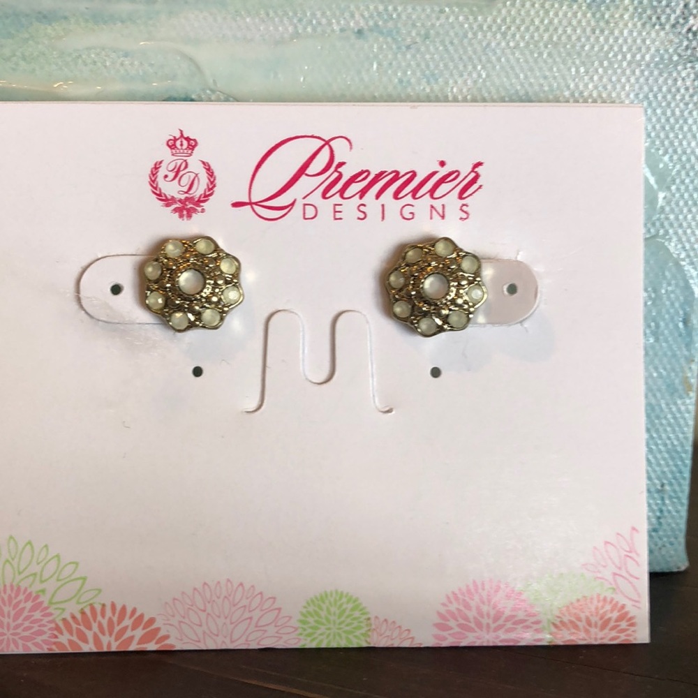 Premier Designs earrings